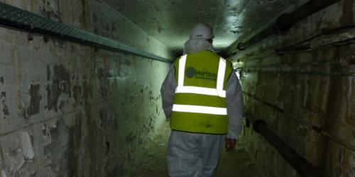 Land remediation projects encounter diverse contamination scenarios requiring specialist expertise: