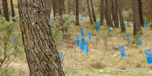 Our portfolio demonstrates capability across diverse restoration scenarios: