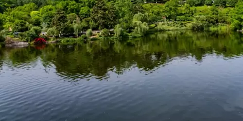 Professional environmental restoration is essential to: