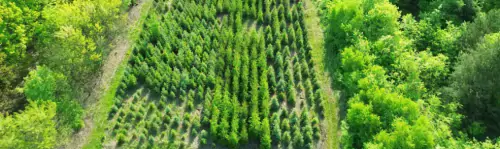 Professional Environmental Restoration Works