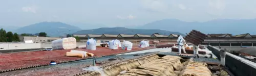 Professional International Asbestos Services