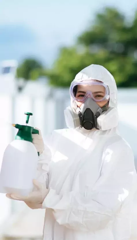 Comprehensive Services